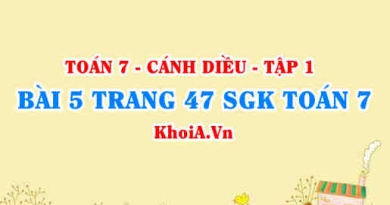 Bài 5 trang 47 SGK Toán 7 tập 1 Cánh Diều